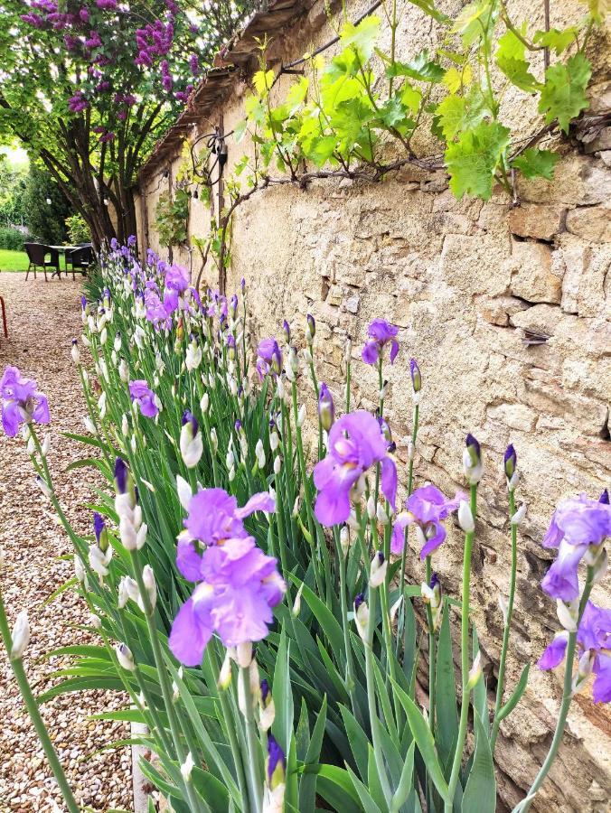 Le 14 Faubourg Bed & Breakfast Beaune  Exterior foto
